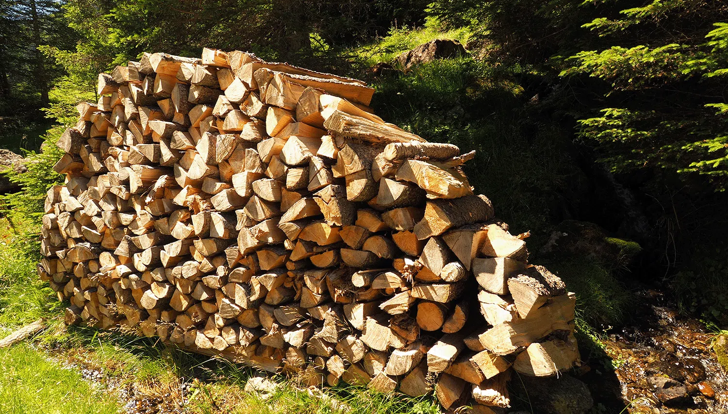 Der Unterschied zwischen Ster und Raummeter (RM)