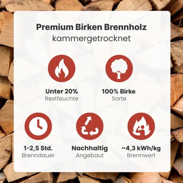 Birch Firewood Kiln-Dried | 1 Cubic Meter – Image 3